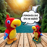 Brbljivi papagaj Kiki