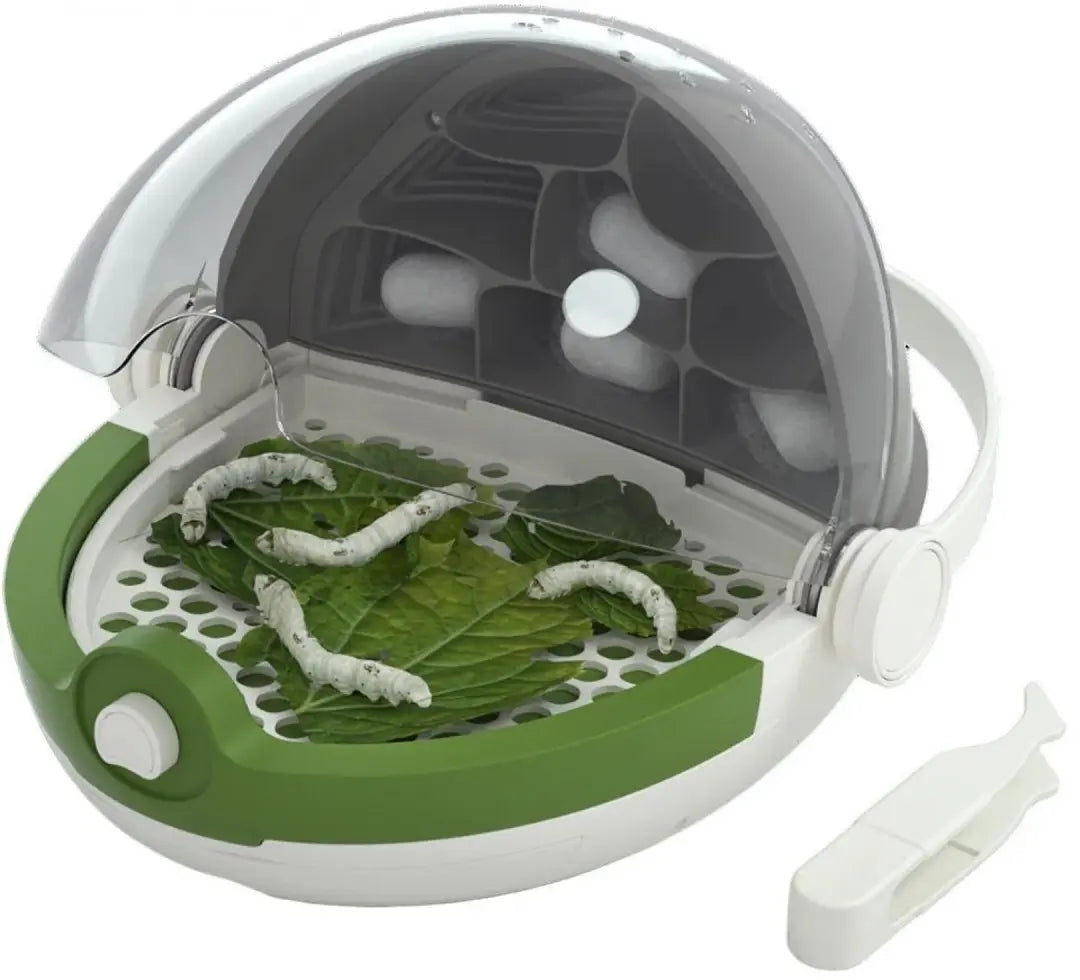 Edukativni set za proučavanje insekata