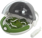 Edukativni set za proučavanje insekata