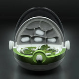 Edukativni set za proučavanje insekata