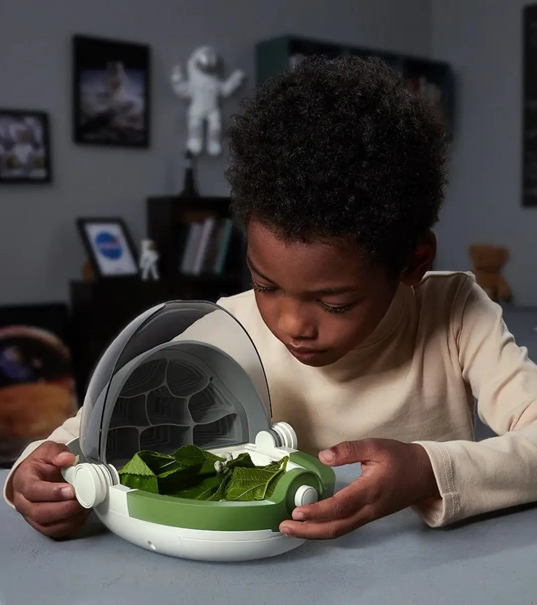 Edukativni set za proučavanje insekata