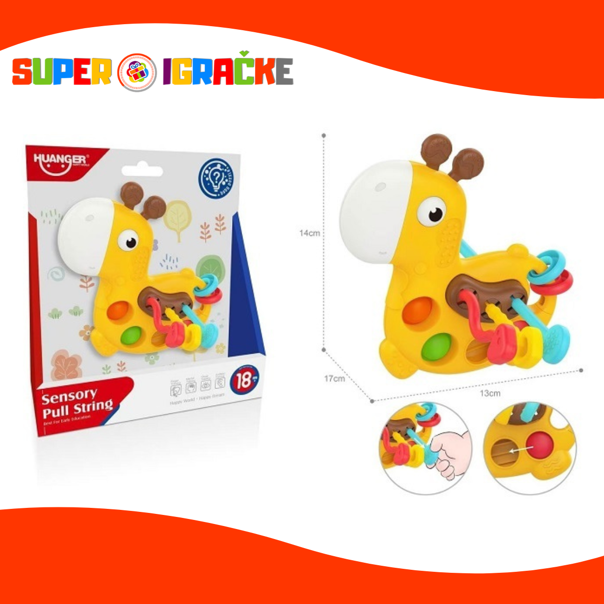 Huanger zvečka glodalica - Žirafica