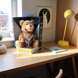 Interaktivna igračka - Drugarić Meda