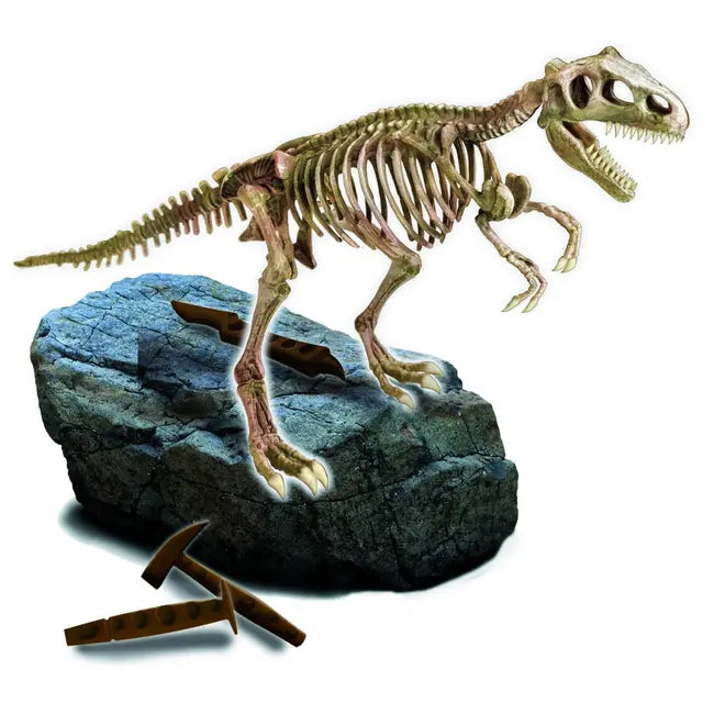 Iskopaj T-Rex dinosaurusa