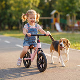 RideBoss balans bicikla