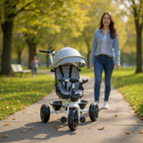 Royal ride - Tricikl siv