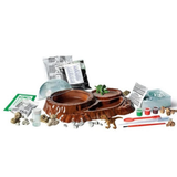 Science and Play - Dino svet set