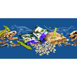 Set 2 u 1 - Dino predatori